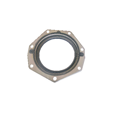 Automobile oil seal