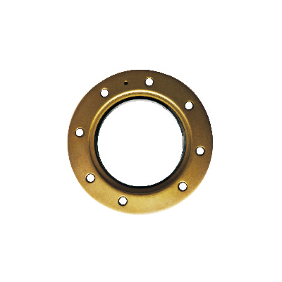 Automobile oil seal