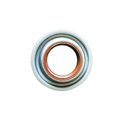 Automobile oil seal