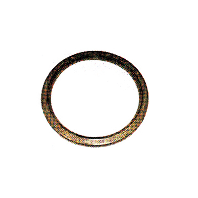 Automobile oil seal