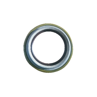 Automobile oil seal