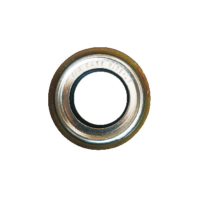 Automobile oil seal