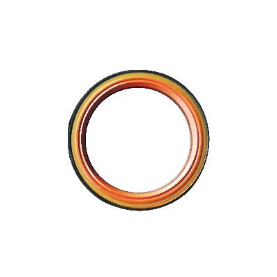 Automobile oil seal