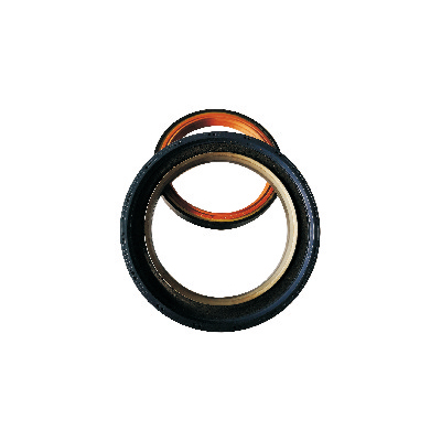 Automobile oil seal