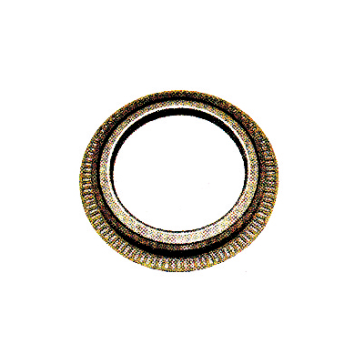 Automobile oil seal