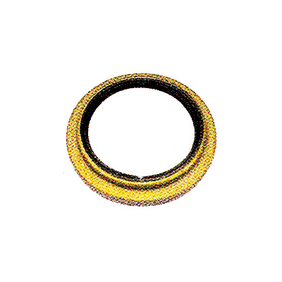 Automobile oil seal