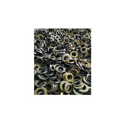 Automobile oil seal