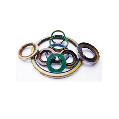 Automobile oil seal