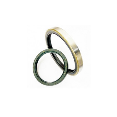 Automobile oil seal