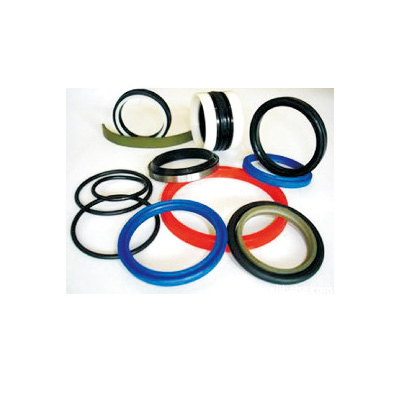 Automobile oil seal