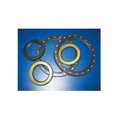 Automobile oil seal