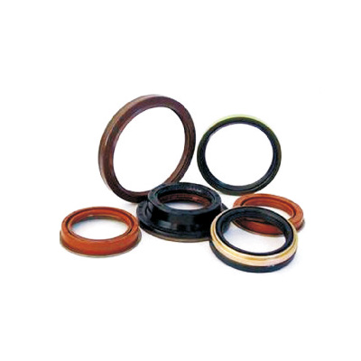 Automobile oil seal