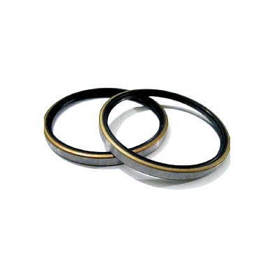 Automobile oil seal