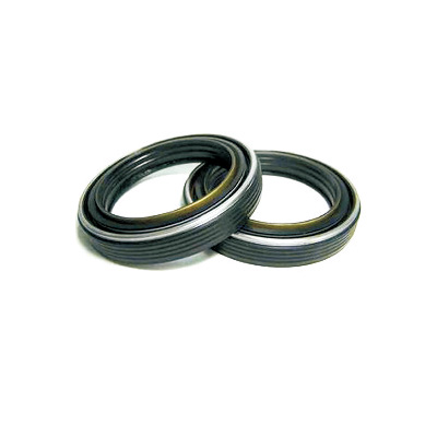 Automobile oil seal