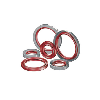 Automobile oil seal