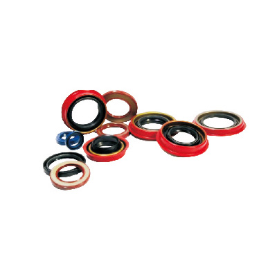 Automobile oil seal