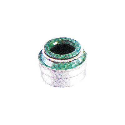 Valve oil seal