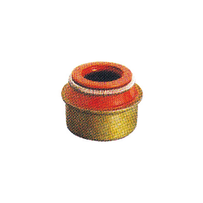 Valve oil seal